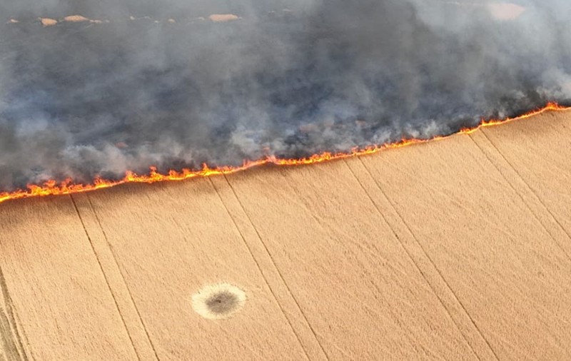 „Ne ard pâinea!”. Ucraina acuză armata rusă că a incendiat intenționat lanurile de grâu din sudul țării