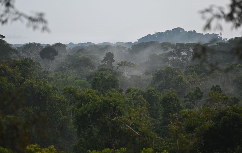 Cele mai vechi oraşe amazoniene, construite acum 2.500 de ani, descoperite cu ajutorul cartografierii cu laser. „Oamenii din Amazonia au construit cu noroi”