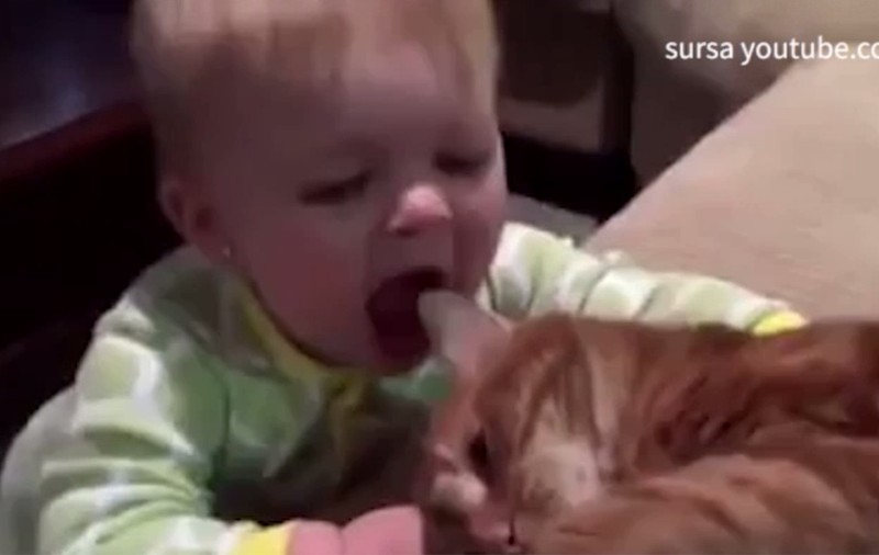 O fetiță a înduioșat internetul cu iubirea pentru pisică! Ar mânca-o dac-ar putea | VIDEO ADORABIL