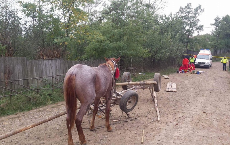 Accident tragic! Căruța în care se aflau doi copii s-a răsturnat GALERIE FOTO