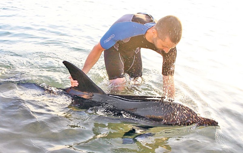 Elevii au adoptat un delfin din Marea Neagră