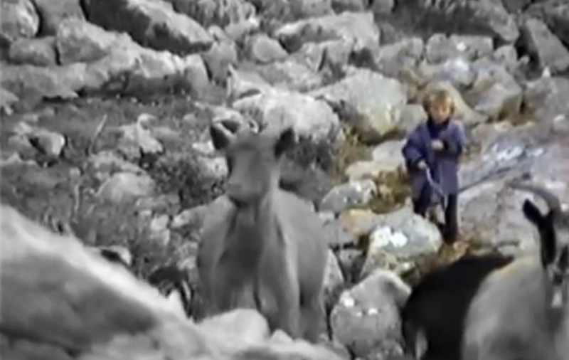 Luka Modric, căpitanul Croației, ducea caprele la păscut în copilărie | VIDEO