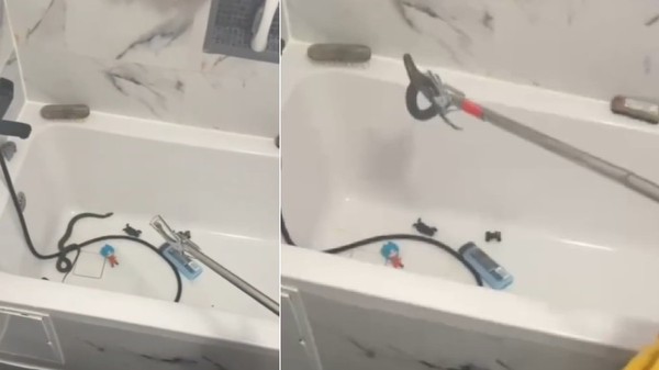 Se încearcă prinderea unui șarpe care se află într-o cadă, în baie