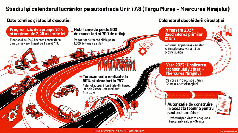 Infografic realizat cu ajutorul Inteligenței Artificiale