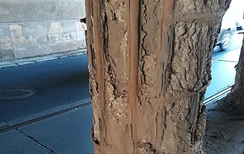 Podul Constanța riscă să se prăbușească. Se degradează de la o zi la alta / FOTO