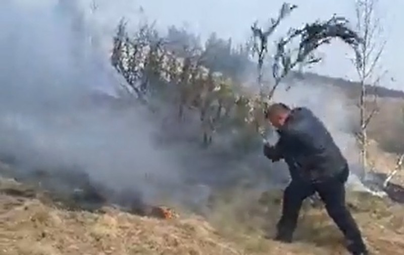 Imaginea zilei vine din Maramureș: un primar încearcă să stingă cu creanga de brad un incendiu de vegetație și pădure