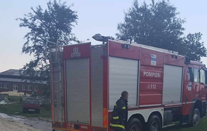 Furtună puternică în Vrancea. O femeie a fost rănită de creanga unui brad doborât de vânt