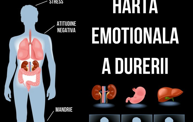 Harta emoţională a durerii. Vezi explicaţia specialiştilor