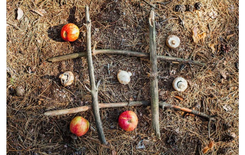 Compostarea inteligentă: două unelte-cheie care te ajută să obții un sol mai fertil