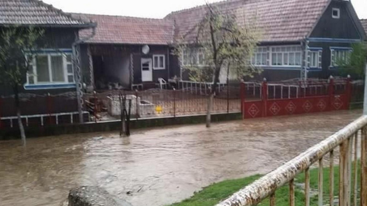 Arhiva foto