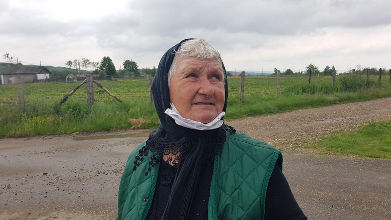 Maria Cumpănă, Corni Albești