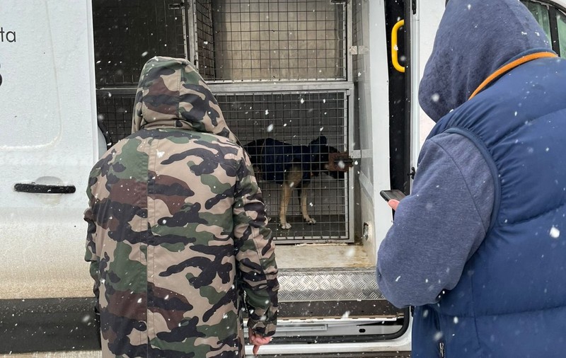 Un om fără adăpost a cerut ajutor pentru el și câinele lui din cauza viscolului. Cum au reacționat polițiștii din Constanța