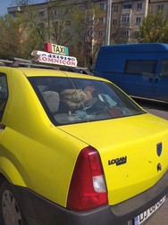 Găina în taxi