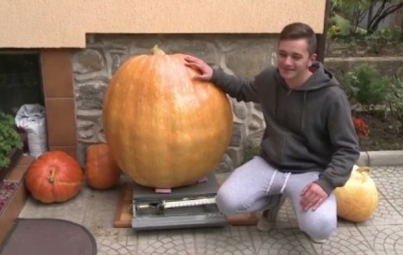 Un dovleac gigant a crescut în Sibiu. Uriașul din grădină are peste 100 de kilograme