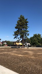 Locul unde se afla școala veche din satul Mironu- Septembrie 2019 (FOTO: Laura Greta Marin, Asociația Human Catalyst)