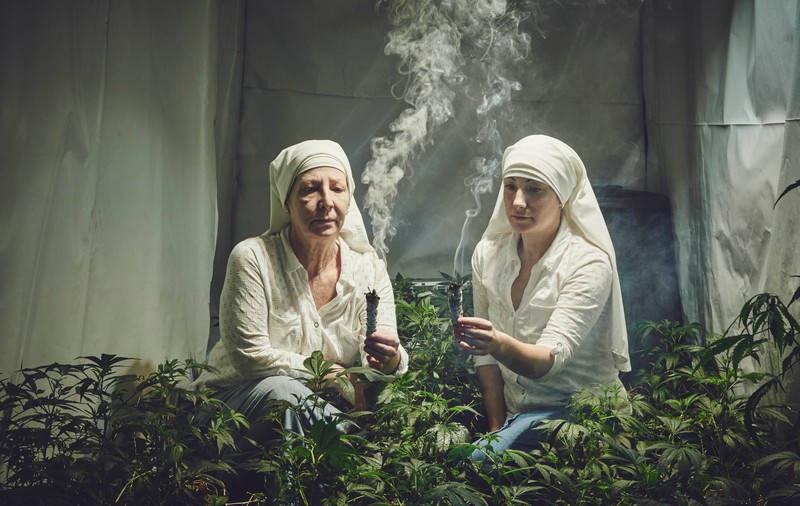 Ordinul “călugărițelor” care cresc și vând marijuana. Povestea "măicuțelor" din California