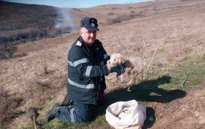 Un cățel a fost salvat dintr-un incendiu de vegetație de un pompier din Hunedoara