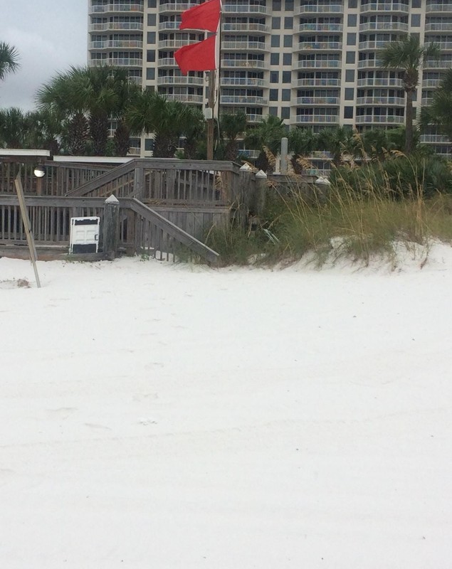 FOTO & VIDEO: Un român ne-a trimis imagini incredibile surprinse înaintea unei furtuni din Florida