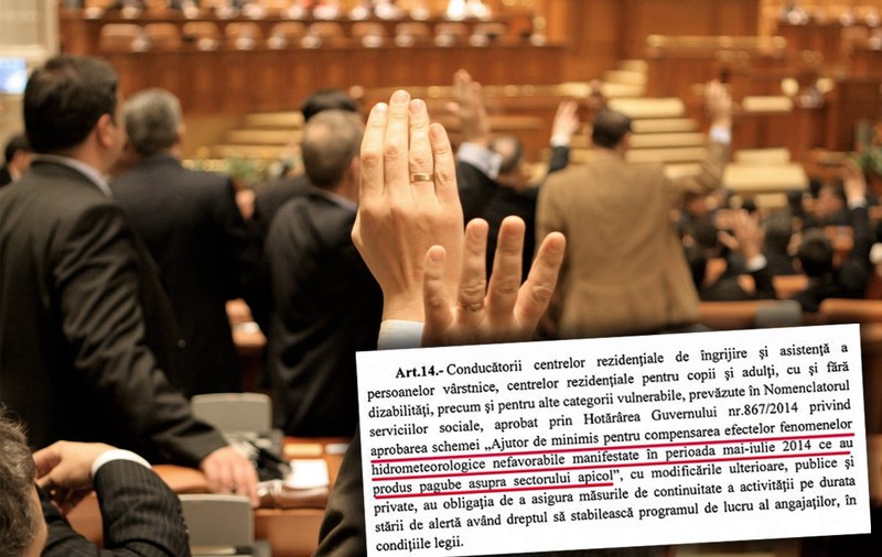 Gafă în lanț în legea privind starea de alertă: Persoanele vulnerabile, confundate cu apicultorii. Trei instituţii nu au sesizat eroarea, iar senatorii chiar au votat-o așa