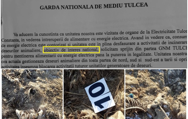 ENEL l-a prins pe patronul cimitirului ilegal că fură curent, dar șeful Gărzii de Mediu Tulcea le-a cerut să nu-l întrerupă: „Obiectiv de interes național”!
