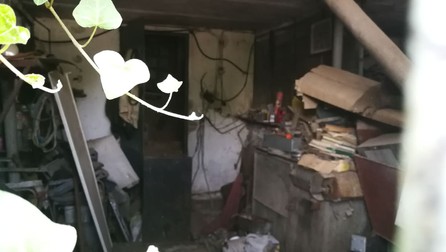 Arhiva foto