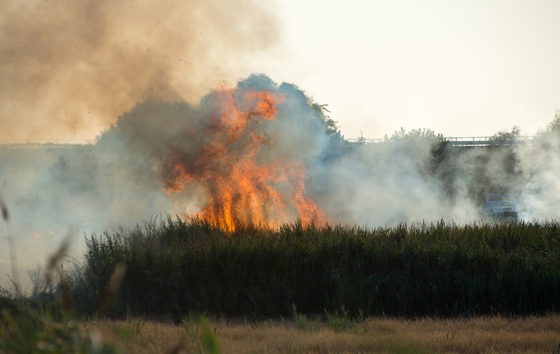 Român arestat în Italia, acuzat că a provocat un incendiu de vegetație