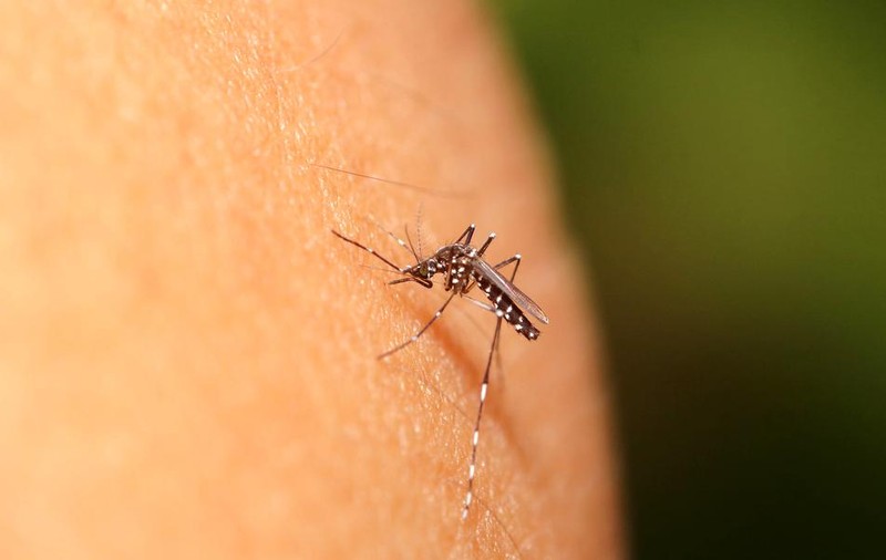 O bacterie care atacă oamenii și se hrănește cu carnea lor devine din ce în ce mai feroce