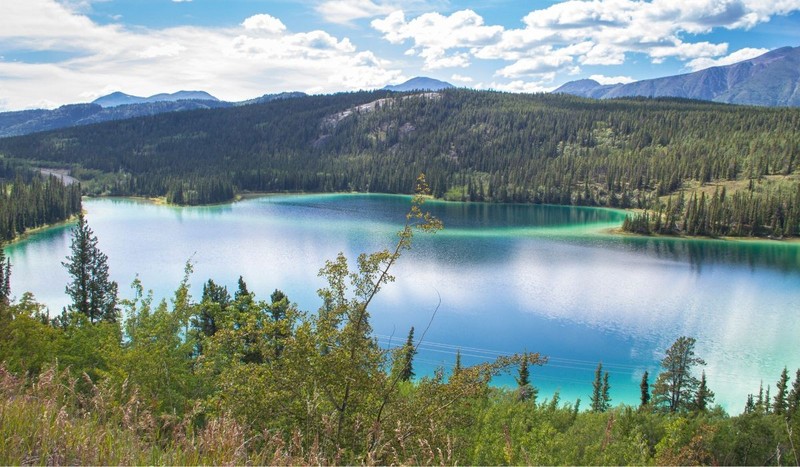 Yukon, Canada. Sursă foto: Shutterstock