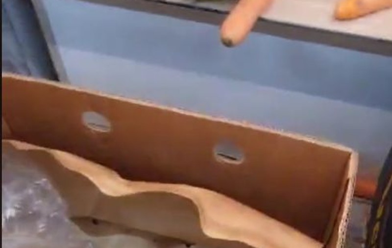 Pui de șoareci, într-o cutie cu banane la Lidl Lugoj. Reacția magazinului după filmarea cu animalele vii apărută pe internet
