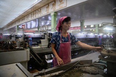A worker stands before machines extracting silk from silkworm coccoons during a guided tour for visiting foreign media to the Kim Jong Suk textile factory in Pyongyang on September 7, 2018. North Korea is preparing to mark the 70th anniversary of its founding on September 9.,Image: 385680264, License: Rights-managed, Restrictions: , Model Release: no