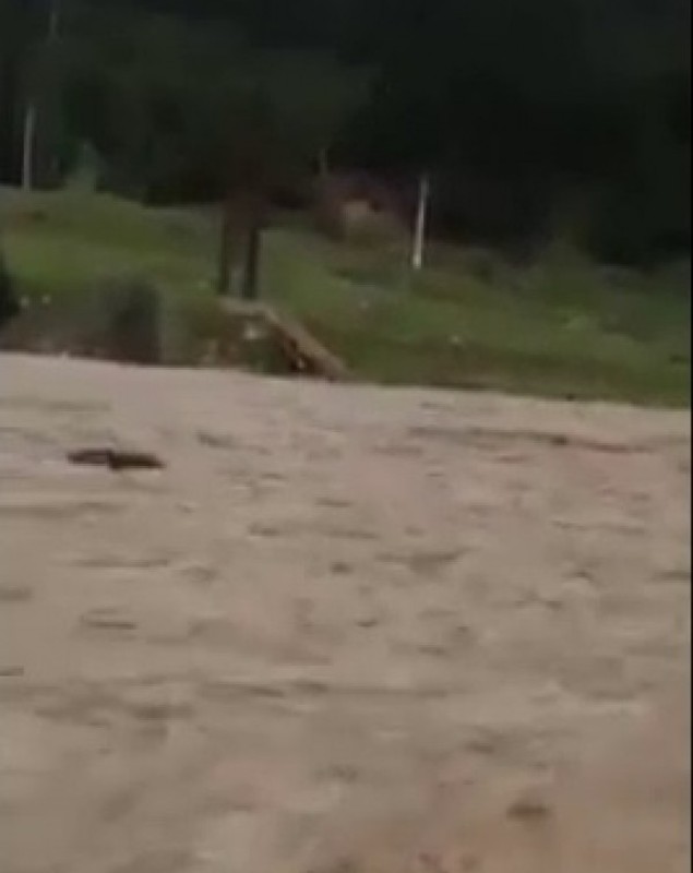 Un pod a fost distrus de viitură în zona Frasin-Moldovița, județul Suceava