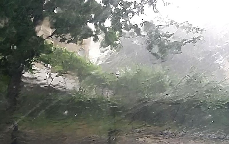 Cod galben de ploi și vânt puternic în șase județe din țară. Urmează un nou val de frig