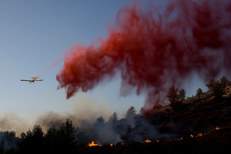 Israelul se confruntă cu incendii de vegetație, care s-au extins în centrul și nordul țării