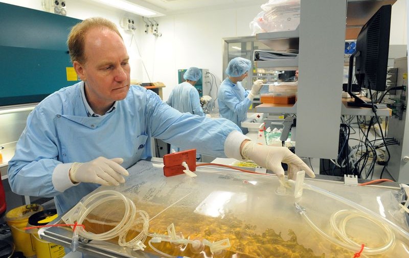 Peste 2.000 de noi cazuri de A/H1N1 în Europa, în ultimele 24 de ore