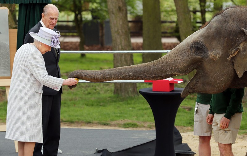 VIDEO Imagini amuzante: Regina Elisabeta a II-a a hrănit un elefant la Grădina Zoologică