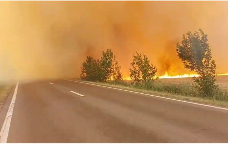 Incendiul de vegetație care a blocat traficul pe E 70 din județul Teleorman a fost stins