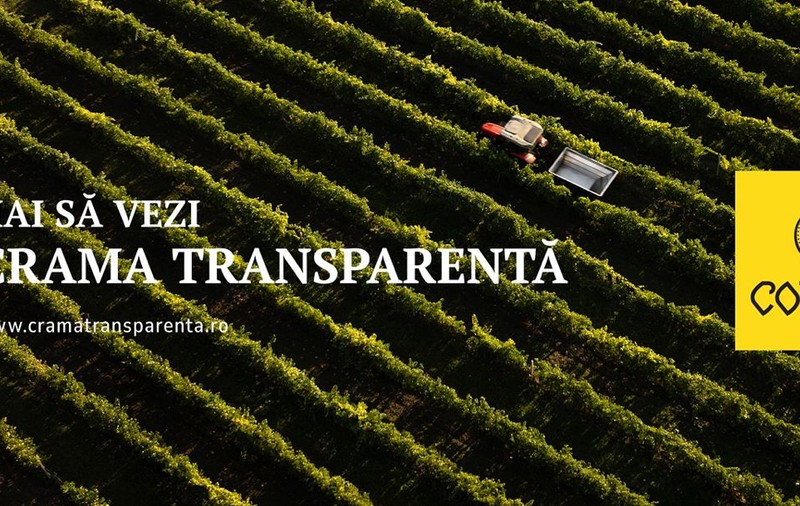 Cotnari își deschide porțile digitale și te invită să explorezi „Crama Transparentă”, din confortul casei tale