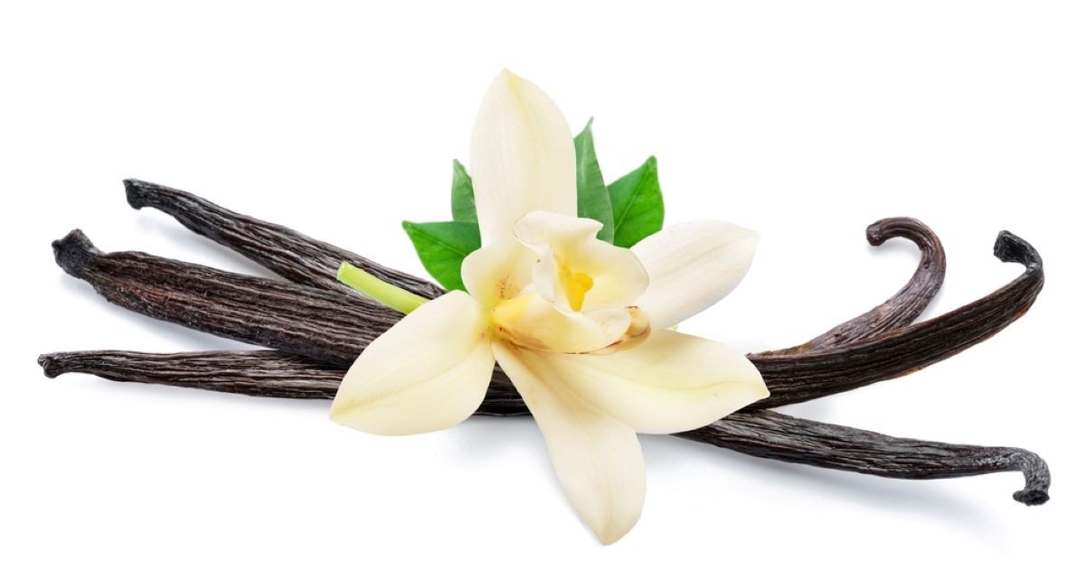 Vanilie - tot ce trebuie să ştii despre această plantă