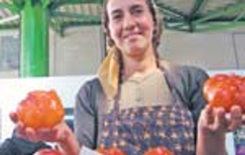 Cat te costa sa pui muraturi?
