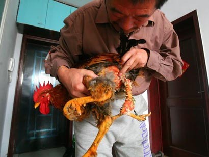 Arhiva foto