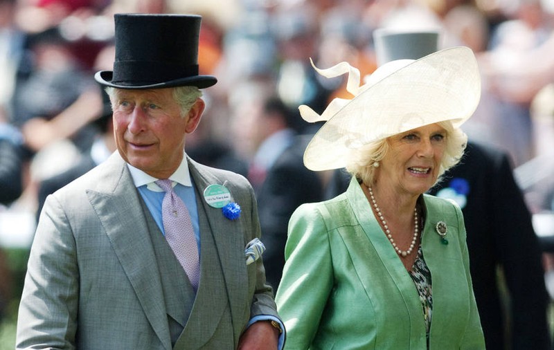 Camilla ia în derâdere numele Prințesei Diana! Prințul William și Prințul Harry sunt furioși!