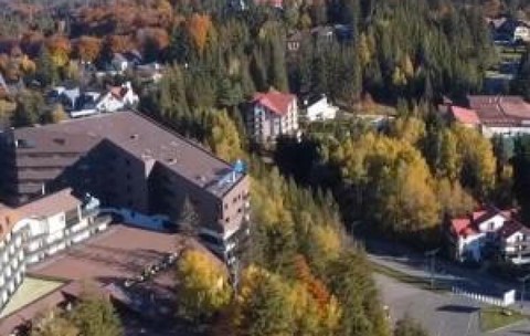 Orașul din România invadat de aproape 100 de urși. Pădurile din zonă ar putea susține doar 15