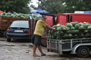 Fermierii își vând pepenii la marginea drumului