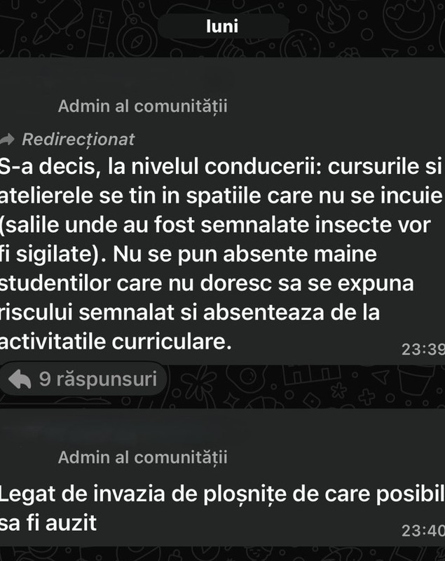 Universitatea de Arhitectură „Ion Mincu”, invadată de ploșnițe și șobolani. Mulți studenți refuză să mai participe la cursuri