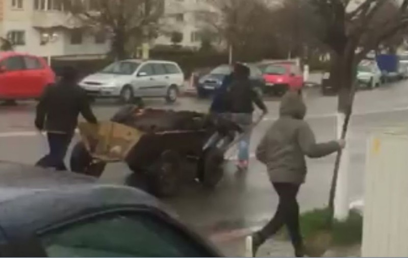 Cal leșinat împins în căruță, de cei care l-au epuizat. Poliția i-a ignorat complet | VIDEO