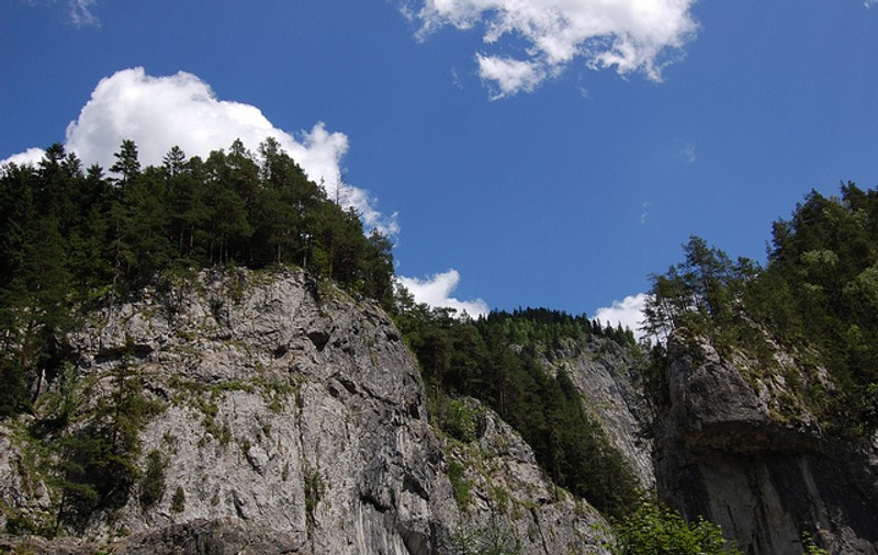 Patru persoane, dispărute în Munţii Buzăului. Cum i-au găsit jandarmii