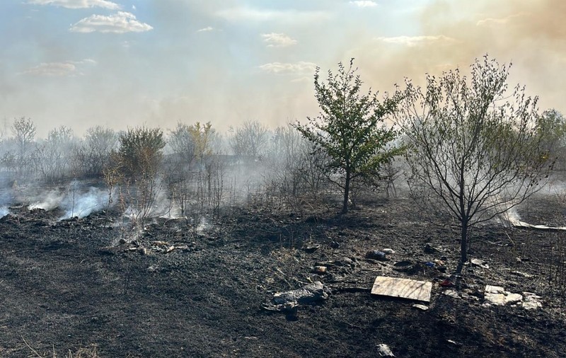 Incendii de vegetație lângă București, 350.000 mp afectați. ISU: „Focul s-a extins din cauza vântului”