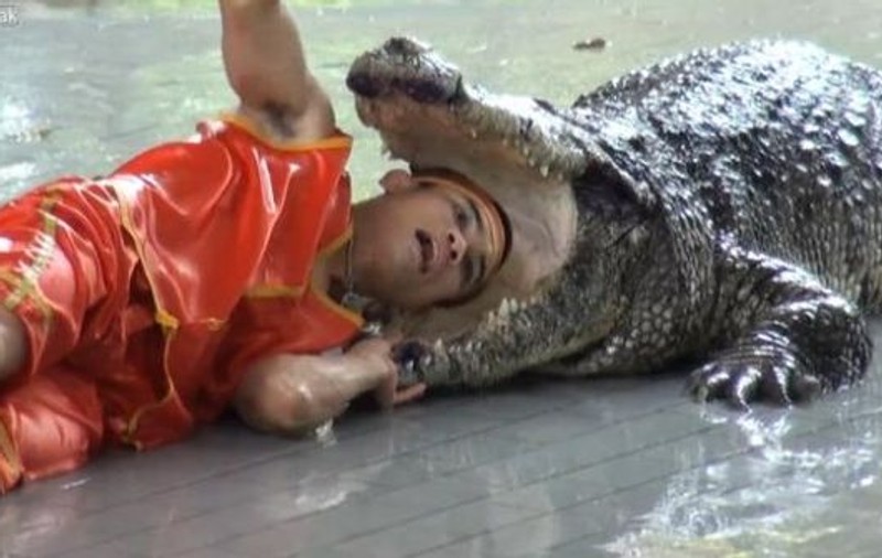 Un tânăr a fost MUŞCAT DE CAP de un crocodil în timpul unei reprezentaţii | VIDEO TERIFIANT