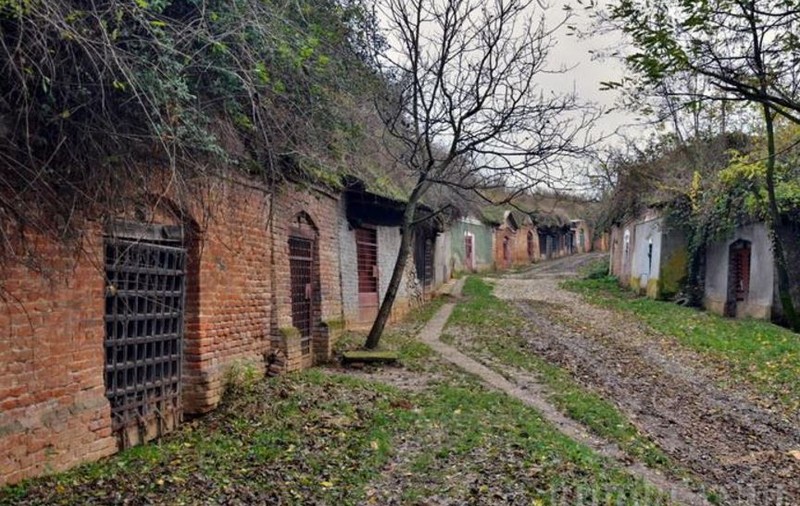 Satul cu o mie de pivnițe se află Bihor. Sunt mai multe beciuri decât case