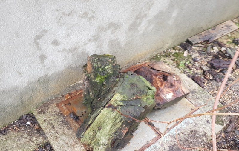 Școala din Buda, unde un copil a murit în fosa septică, verificată în urmă cu două luni. Capacul ruginit și fără balamale a fost ignorat!